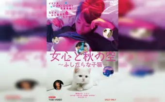 Thumbnail of post image 001