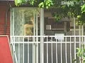 FANZAが提供している裏窓の誘惑 人妻の匂い立つ色香(139lpcs20214)のサンプル画像-2