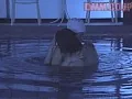 FANZAが提供している盗撮フィットネスクラブ(144cc9901037)のサンプル画像-5