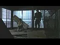 FANZAが提供している隠密くノ一忍法帳 餓鬼姉妹(145djm00001)のサンプル画像-37