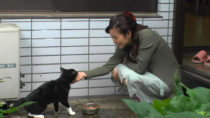 FANZAが提供している猫の家族(145dos00013)のサンプル画像-2