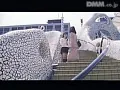 FANZAが提供している痴●電車 指いじめ(173sne00086)のサンプル画像-15