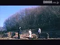 FANZAが提供している襦袢未亡人 白い蜜肌(173sne00210)のサンプル画像-33