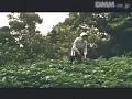 FANZAが提供しているサンタモニカの白い薔薇/とまどい(174okura00044)のサンプル画像-29