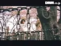 FANZAが提供している淫女乱舞 バトルどワイセツ(174okura00364)のサンプル画像-3