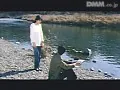 FANZAが提供している家庭内3P 人妻の妹(174okura00469)のサンプル画像-13