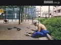 FANZAが提供している人妻の秘密 覗き覗かれ(174okura00483)のサンプル画像-22