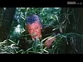 FANZAが提供している復讐性犯罪 白濁レ●プ(174okuram00057)のサンプル画像-6