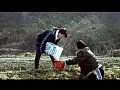 FANZAが提供している痴●義父 息子の嫁と…(186_00308)のサンプル画像-8