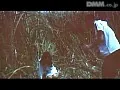 FANZAが提供している盗撮痴女 覗いて濡らす(186_09913)のサンプル画像-11