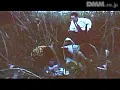 FANZAが提供している盗撮痴女 覗いて濡らす(186_09913)のサンプル画像-6