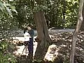 FANZAが提供しているお口に誘って。 小林ひとみ(186p00027)のサンプル画像-17
