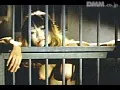 FANZAが提供している女刑務所 ザ 私刑(186q00010)のサンプル画像-37