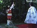 FANZAが提供している色情狂日記 超いんらん(186q00160)のサンプル画像-34