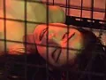 FANZAが提供している立花未沙 女体サーカス奇憚 囚われの乳姫(186sdm00018)のサンプル画像-18