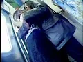 FANZAが提供しているザ・痴●列島 1(186sdm00177)のサンプル画像-2