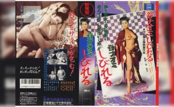 Thumbnail of related posts 069