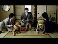 FANZAが提供している過剰性欲 エッチな遊び(186svp00014)のサンプル画像-17