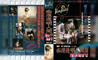 Thumbnail of related posts 071