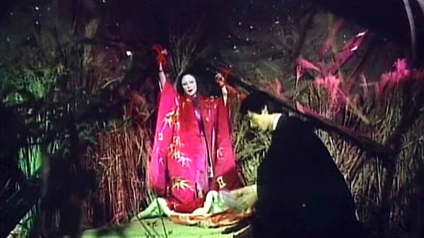 FANZAが提供している性獣のいけにえ(186svp00041)のサンプル画像-19