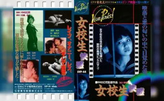 Thumbnail of related posts 144