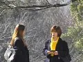 FANZAが提供している女教師 放課後の秘密(330dmmd05011)のサンプル画像-15