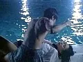 FANZAが提供している黒い下着の女教師 ~真亜子 二十八歳~(403pink00017)のサンプル画像-13