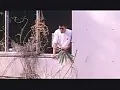 FANZAが提供している迷走者たちの猥歌(40boyslove00011)のサンプル画像-25