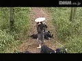 FANZAが提供しているくノ一忍法伝 紅の刃 ~女淫恋獄抄~(5017edv00005)のサンプル画像-4