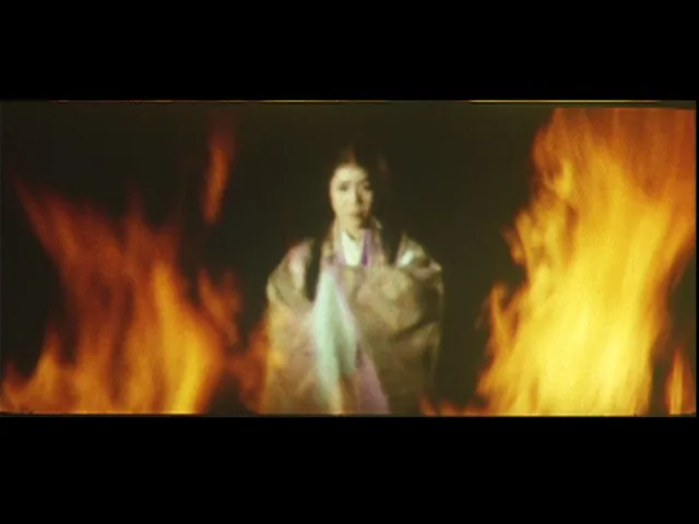 FANZAが提供している源氏物語(5154ayapro00004)のサンプル画像-10