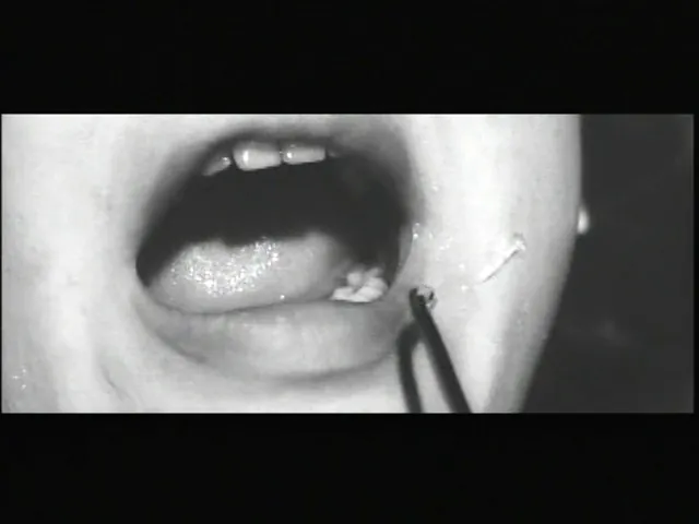 FANZAが提供している白日夢（1964）(5154ayapro00008)のサンプル画像-3