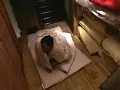 FANZAが提供している人妻熟女（秘）劇場 和服美人の誘惑(h_082tsdv60010)のサンプル画像-4