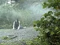FANZAが提供している監禁逃亡 美しき獲物たち(h_097kf05410)のサンプル画像-31