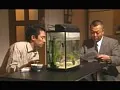 FANZAが提供している監禁逃亡 性奴●(h_097kf05561)のサンプル画像-20