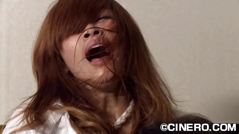FANZAが提供しているブラッド・オブ・セクシー・ダイナマイト(h_1344mrld00090b)のサンプル画像-3
