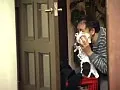 FANZAが提供している近親相姦 巨乳熟女妻姦淫 増田ゆり子(h_196jpdvd00013)のサンプル画像-8